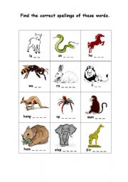 English worksheet: dictionary_animal_spelling