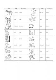 English worksheet: animal