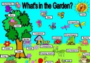 English Worksheet: Whats in the Garden?