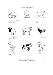 English worksheet: Farm Animals