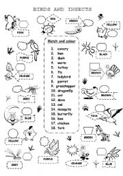 English Worksheet: BIRDS AND INSECTS 1