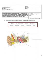 English Worksheet: Sound and hearing quiz