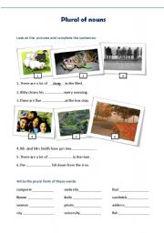 English Worksheet: plural of nouns