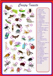 English Worksheet: Creepy Insects Pictionary - Match**fully editable