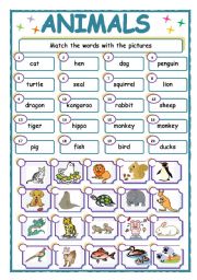 English Worksheet: ANIMALS/MATCHING