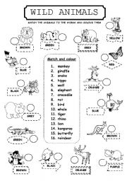 English Worksheet: WILD ANIMALS