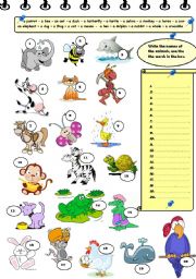 animals worksheet