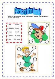 English Worksheet: Parts of the body