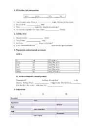 English Worksheet: Grammar test - adjectives, pronouns, present tenses, articles