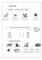 English worksheet: Test for beginners ( animls & their babies, birds, insects )