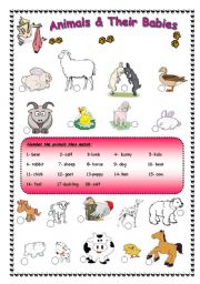 English Worksheet: Animals and their babies + ( BW ) is provided 