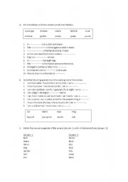 English worksheet: Animal Worksheet