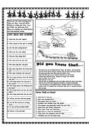 English Worksheet: HARDWORKING ANTS