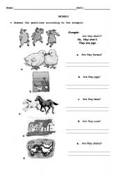 English Worksheet: Animals Yes/No Questions