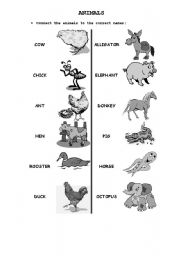 English worksheet: Animals- Match