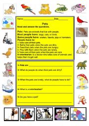 English Worksheet: Pets