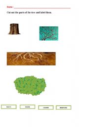 English worksheet: Parts of a tree.Cut out and label