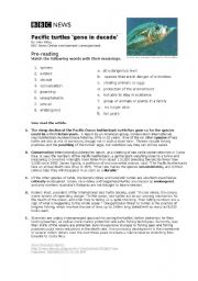 English Worksheet: Pacific Leatherback Turtles