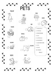 English Worksheet: PETS