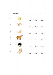 English Worksheet: Body parts