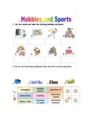 HOBBIES AND SPORTS