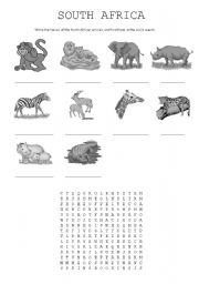 English Worksheet: South African animals