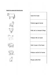 English worksheet: animal and fucntions