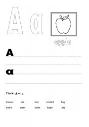 English worksheet: Learn the alphabet