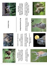English Worksheet: M y Forest Animal Mini Book