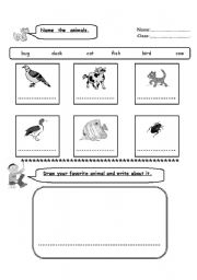 English worksheet: ANIMALS