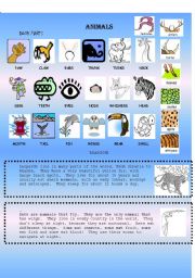 English Worksheet: animals