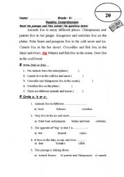 English Worksheet: reading exam