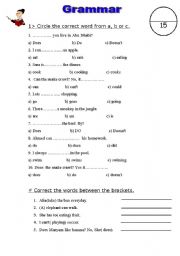 English Worksheet: grammar test