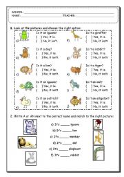 English Worksheet: Animal Exercise