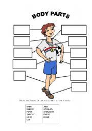 English Worksheet: BODY PARTS