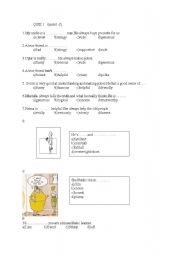 English worksheet: quiz