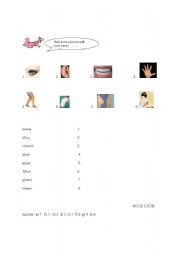 English Worksheet: Body Parts