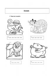 English worksheet: Animals