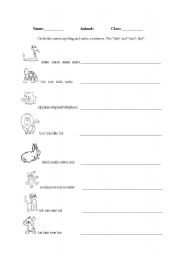 English worksheet: I like      I dont like    animals