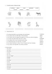 English worksheet: what can animals do?