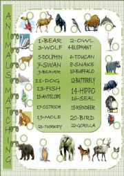 English Worksheet: Animals Matching