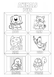 Animals Colouring Pictionary (3 pages)