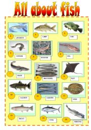ALL ABOUT FISH