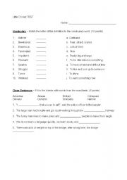 English worksheet: Test on the young adult novel 
