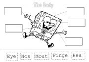 English Worksheet: Body