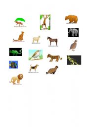 English worksheet: Most Common Animals