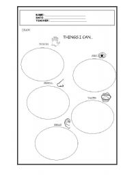 English Worksheet: Five senses