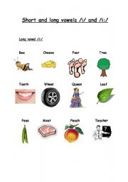 English worksheet: Long and short vowels /i:/ and /i/