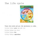 English worksheet: The life cycle of a hen