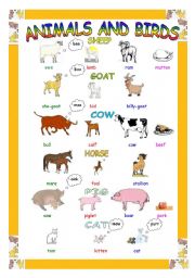 English Worksheet: Animals and Birds (Male & Female)